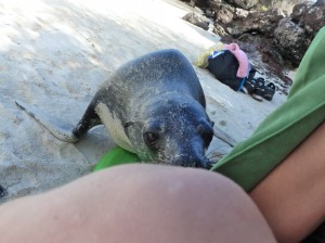 Alicia and sea lion