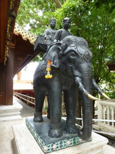 ElephantFinder