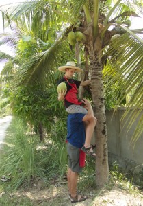 Picking coconut